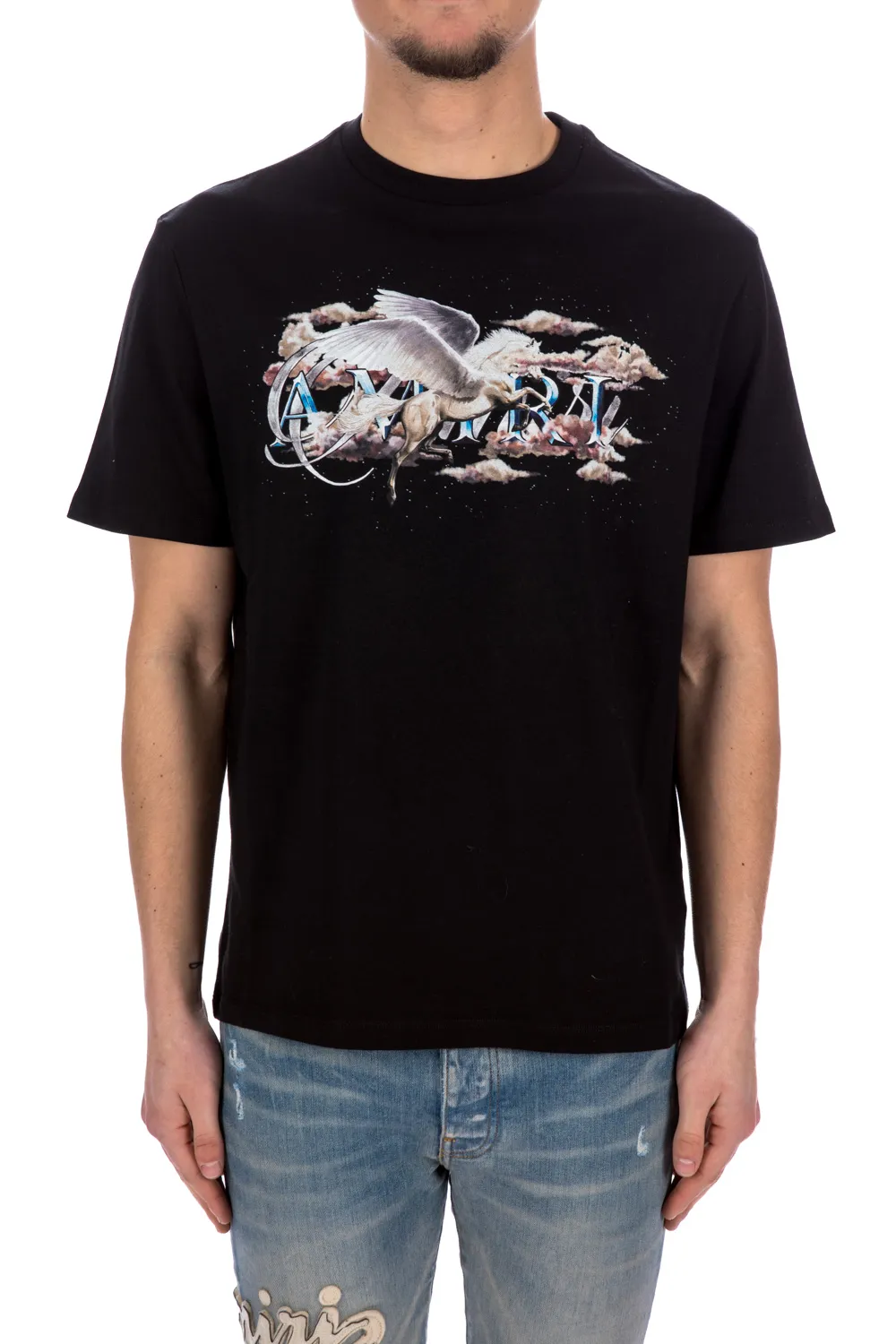 Amiri Pegasus Script Logo Tee | Credomen