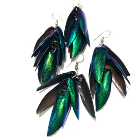 Beetle Wing Earrings