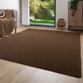 Brown Area Rug