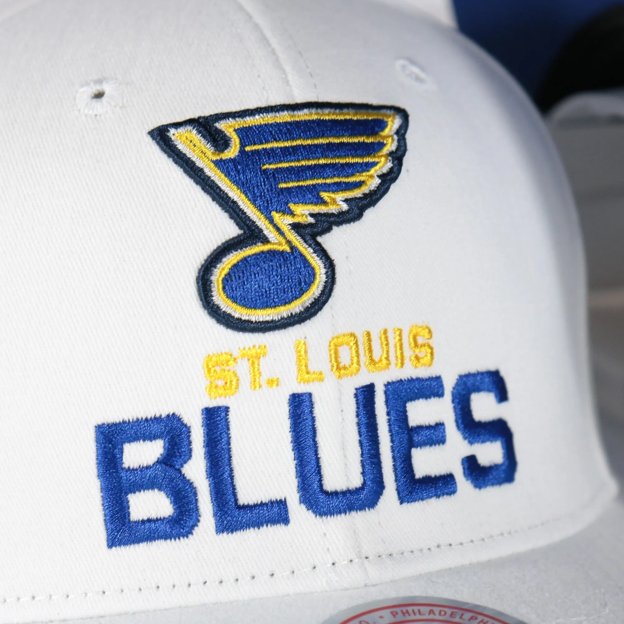 St. Louis Blues NHL All in Pro Blue Bottom | White Snapback Hat