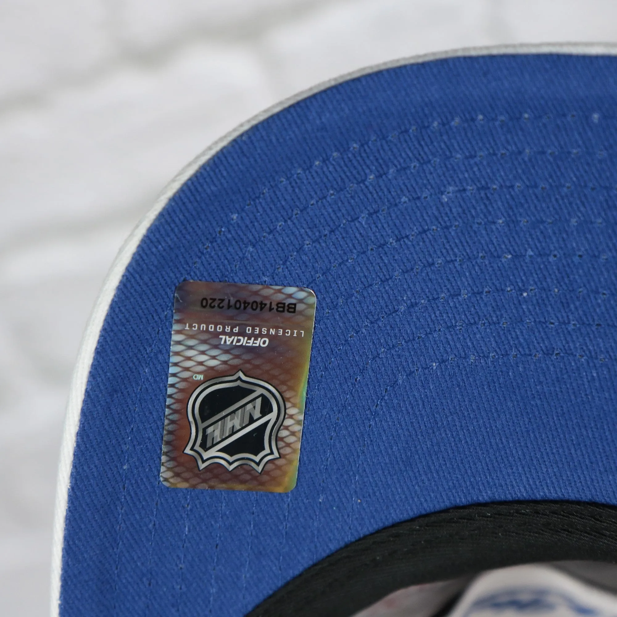 St. Louis Blues NHL All in Pro Blue Bottom | White Snapback Hat